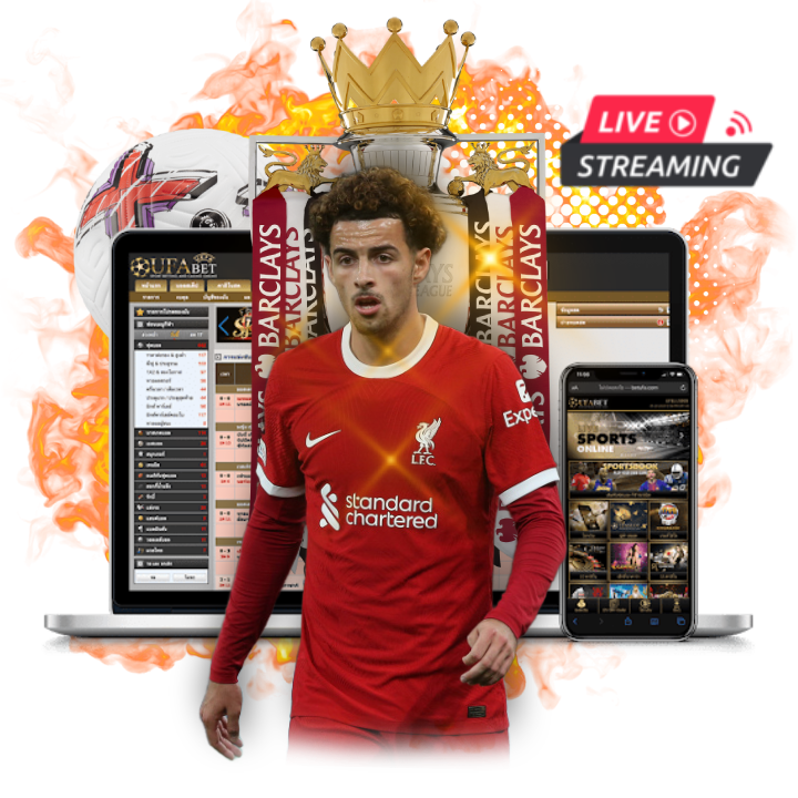 ดูบอลฟรี